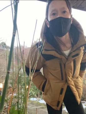 「UNIQLO（ユニクロ）のWOMEN ウルトラストレッチジーンズ（デニムパンツ）」を使った、shin5netさん（メンズ・167cm）の冬コーディネート