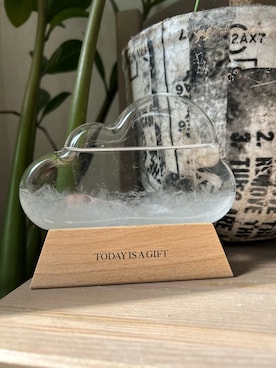 「アイテム（インテリア雑貨）」を使った、azukodaさん（レディース・161cm）の秋コーディネート