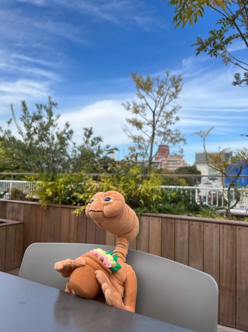 BIRTHDAY BAR（バースデイバー）の「「E.T.」ぬいぐるみ 植木鉢