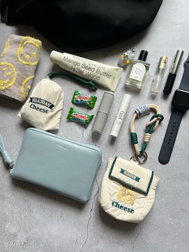 「アイテム（ポーチ）」を使った、azukodaさん（レディース・161cm）の春コーディネート