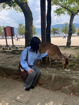 11さんのコーディネート