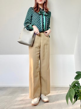 ANAYI（アナイ）の「ベルトパターンプリント ブラウス（シャツ