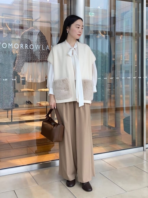 TOMORROWLAND Ballsey シアーブラウス 楽天市場】【SALE／40%OFF】シアーアムンゼン パフスリーブ