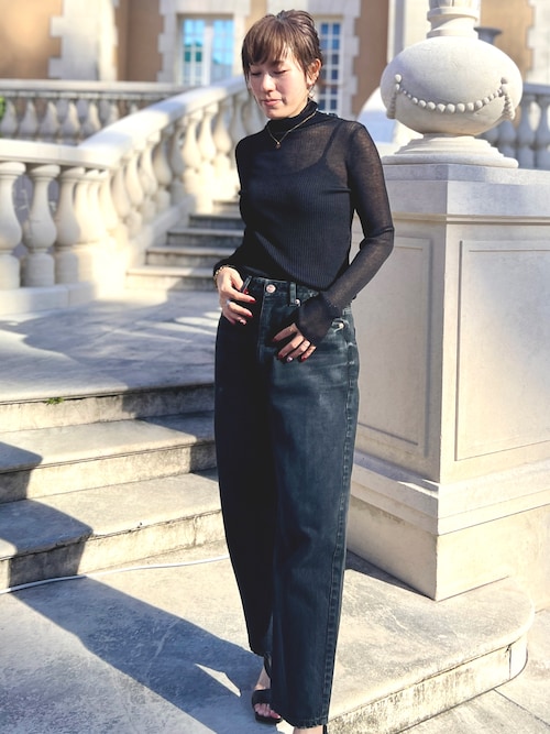 ドゥーズィエムクラス 23AW シアーリブタートルネックニット ドゥーズィエムクラス ニット タートルネック ドゥーズィエムクラス