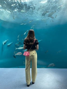 𝕜𝕪𝕠𝕜𝕠さんのコーディネート