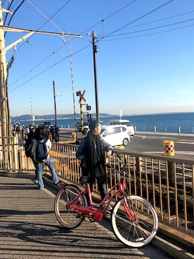 「no brand（ノーブランド）のアイテム（マフラー、ブラック系）」を使った、檸檬女神さん（レディース・170cm）の秋コーディネート