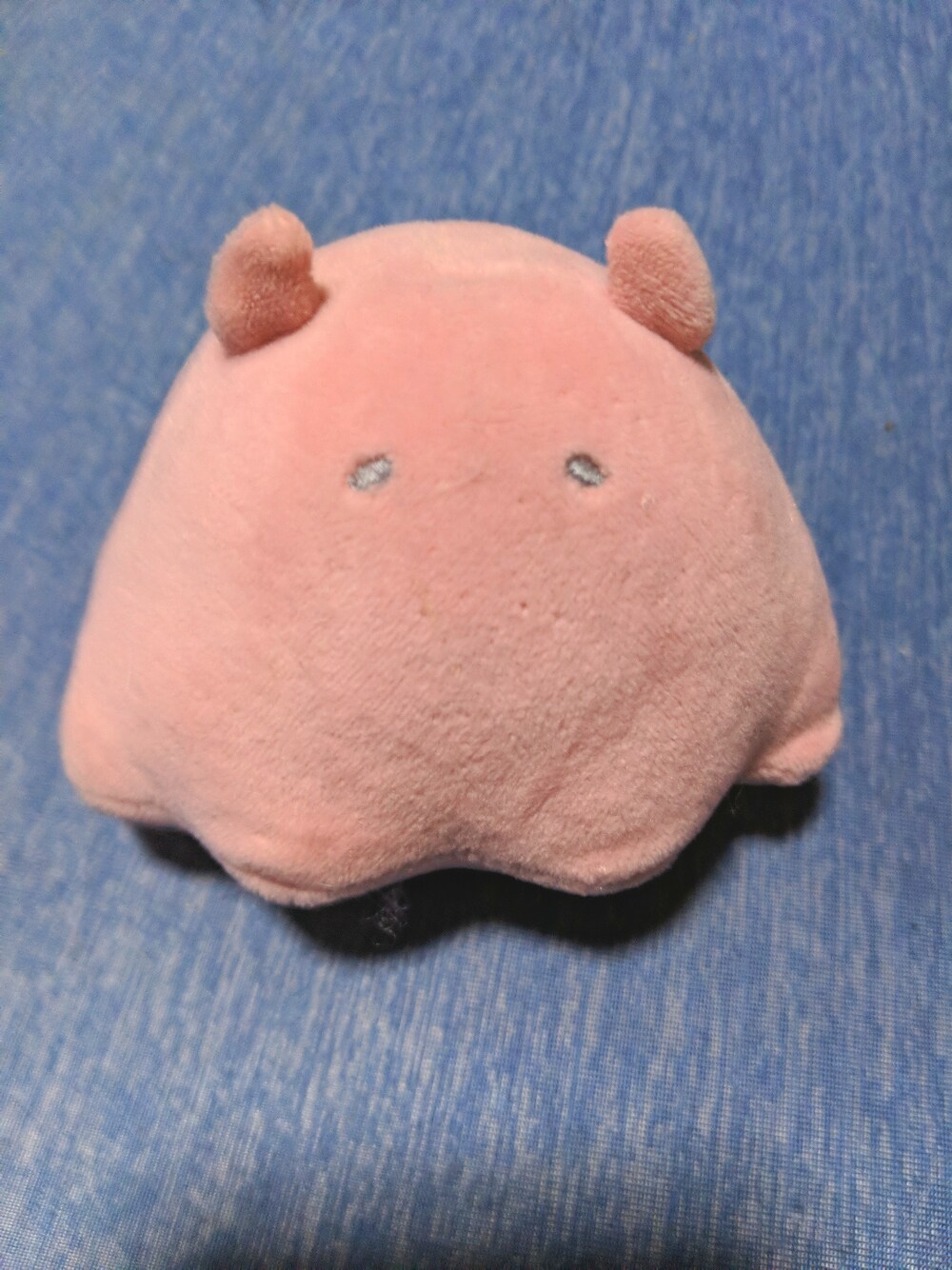 「メンダコちゃんのアイテム（おもちゃ、ピンク系）」を使った、sd8jma8さん（レディース・165cm）の冬コーディネートの1枚目の写真