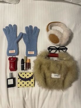 「アイテム（財布/小物）」を使った、濱川　ひよりさん（レディース・162cm）の冬コーディネート