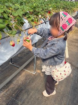 「西松屋（ニシマツヤ）のアイテム」を使った、そっちゃんさん（キッズ・70cm）の春コーディネート