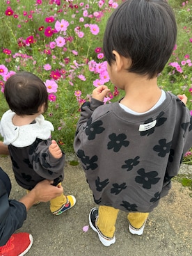 まみぴよ。さん（レディース・156cm）の秋コーディネート