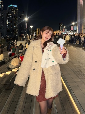 「アイテム（アンサンブル）」を使った、honokaさん（レディース・163cm）の冬コーディネート