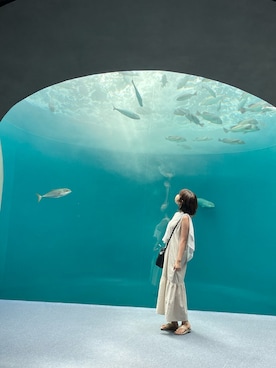 mさんのコーディネート