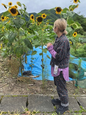 ミミさん（レディース・153cm）の夏コーディネート