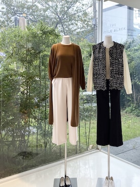 「アイテム（トップス、ブラウン系）」を使った、LITTLEBLACKさん（レディース・162cm）の秋コーディネート