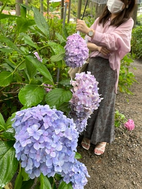 「Cara（-）のアイテム（シャツ/ブラウス）」を使った、k♡さん（レディース・144cm）の夏コーディネート