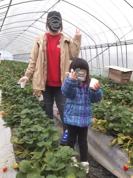 「アイテム（その他アウター、パープル系）」を使った、ぴよりあさん（レディース・155cm）の春コーディネート