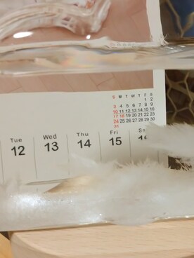 こよみさんのコーディネート