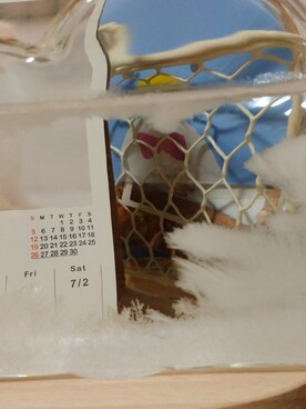 こよみさんのコーディネート