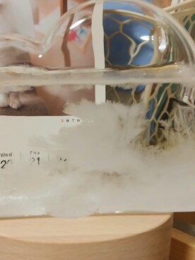 こよみさんのコーディネート