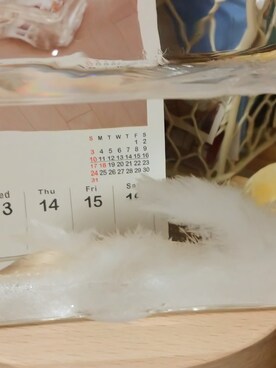 こよみさんのコーディネート