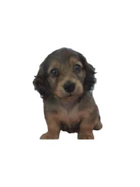 「アイテム（その他）」を使った、勝手に投稿するマンさん（メンズ・80cm）の秋コーディネート