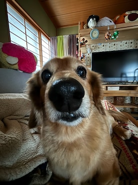 「アイテム（その他）」を使った、勝手に投稿するマンさん（メンズ・80cm）の秋コーディネート