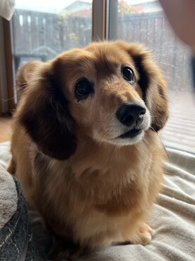 「アイテム（その他、レッド系）」を使った、勝手に投稿するマンさん（メンズ・175cm）の春コーディネート