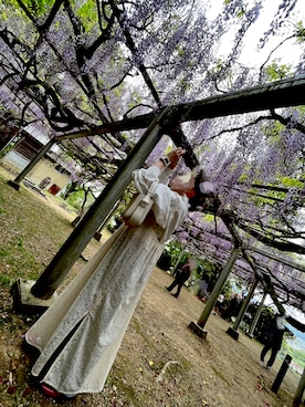 maiさんのコーディネート