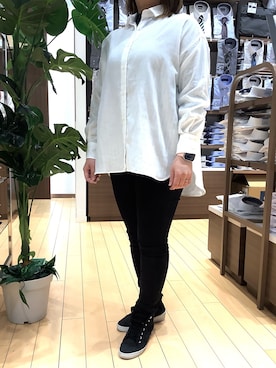 「Pitta Re:)（ピッタリ）のアイテム（シャツ/ブラウス）」を使った、SHIRTS PLAZA 浜松志都呂イオンモール店さん（レディース・158cm）の春コーディネート