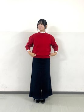 「URBAN RESEARCH DOORS（アーバンリサーチドアーズ）のピンタックフリルスタンドカラーブラウス（シャツ/ブラウス）」を使った、ゆかなさん（レディース・161cm）の秋コーディネート