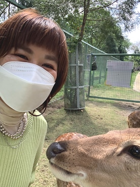 amerieeeさん（レディース・163cm）の春コーディネート