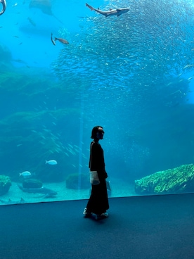 みゆうさんのコーディネート