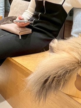 「アイテム（ドレス）」を使った、aoimitsukiさん（レディース・151cm）の秋コーディネート