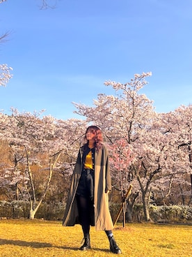 「NOLLEY’S（ノーリーズ）のアイテム（カーディガン/ボレロ、ブラック系）」を使った、yuriさん（レディース・158cm）の春コーディネート