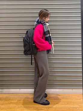 「LEPSIM（レプシィム）の洗えるチェックストール23AW　967394（ストール/ショール）」を使った、manaさん（レディース・153cm）の冬コーディネート