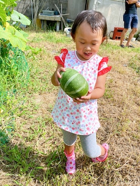 「ドットパンツ」｜ジュンコさん（レディース・156cm）の夏コーディネート