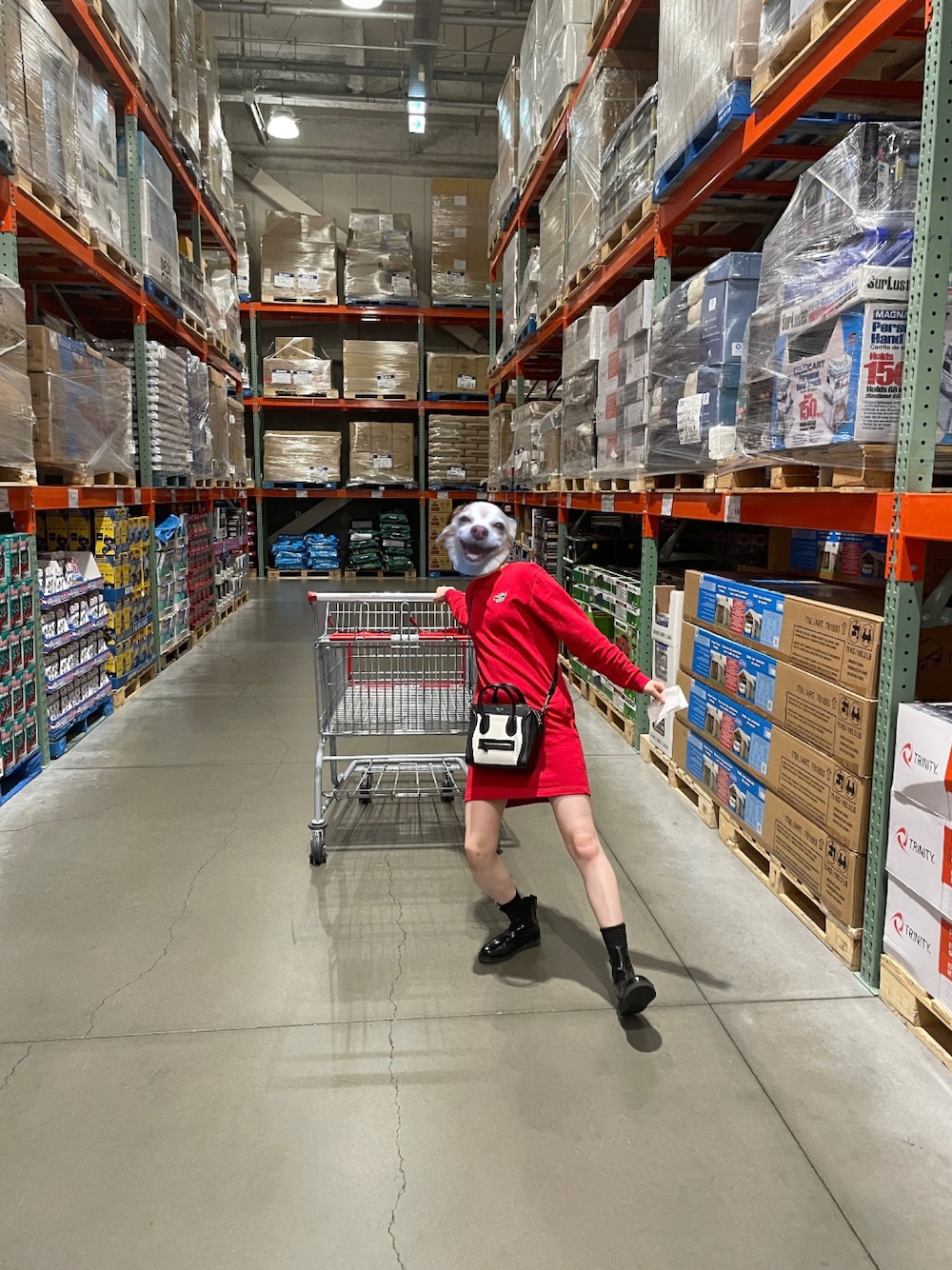 「LACOSTEのホリデーコレクタースウェットドレス（ワンピース、レッド系）」を使った、hinyuugohanさん（レディース・156cm）の春コーディネートの1枚目の写真