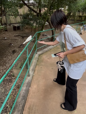 「Clarks（クラークス）のアイテム（その他シューズ）」を使った、マコさん（レディース・156cm）の秋コーディネート