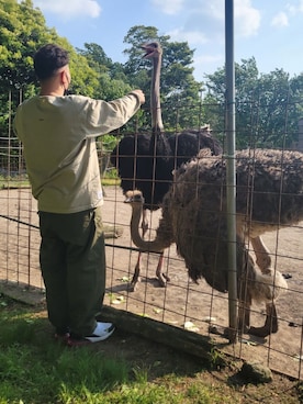 H&Yさんのコーディネート