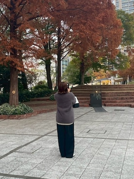 「Vipoa（ヴィポア）のアイテム」を使った、Mioさん（レディース・153cm）の冬コーディネート