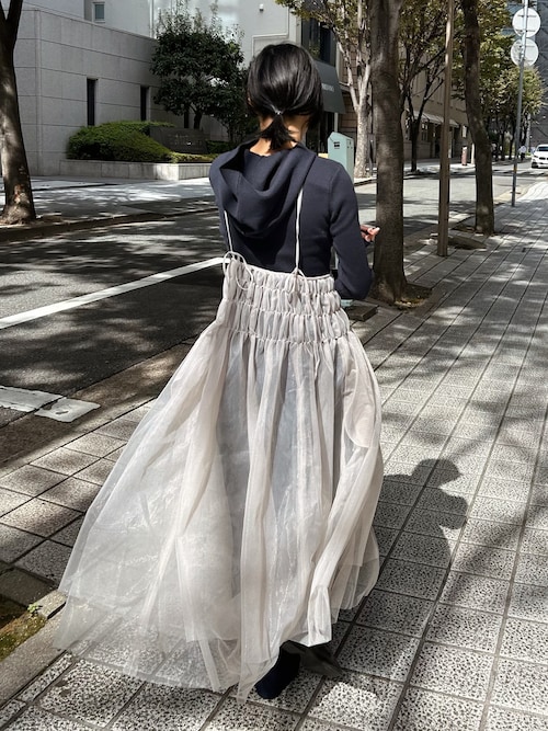 オントナ レトローサ 現地球 発根済み （オントナ レトローサ