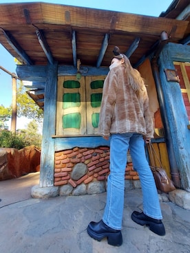 「ディズニーランド」｜「アイテム（その他アウター）」を使った、kinoさん（レディース・168cm）の冬コーディネート