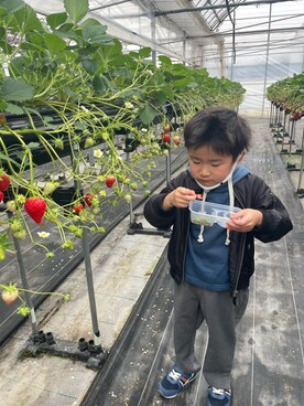「イチゴ狩り」｜「アイテム（ブルゾン）」を使った、reichelさん（レディース・150cm）の冬コーディネート