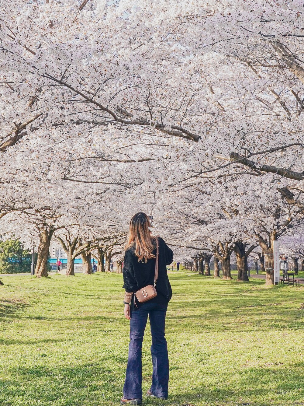 「春コーデ、大人カジュアル、お洒落さんとつながりたい、桜、マークバイマークジェイコブス、デニムパンツ、デニム」｜「Fluggeのアイテム（デニムパンツ、ブルー系）」を使った、katsuさん（レディース・162cm）の春コーディネートの1枚目の写真