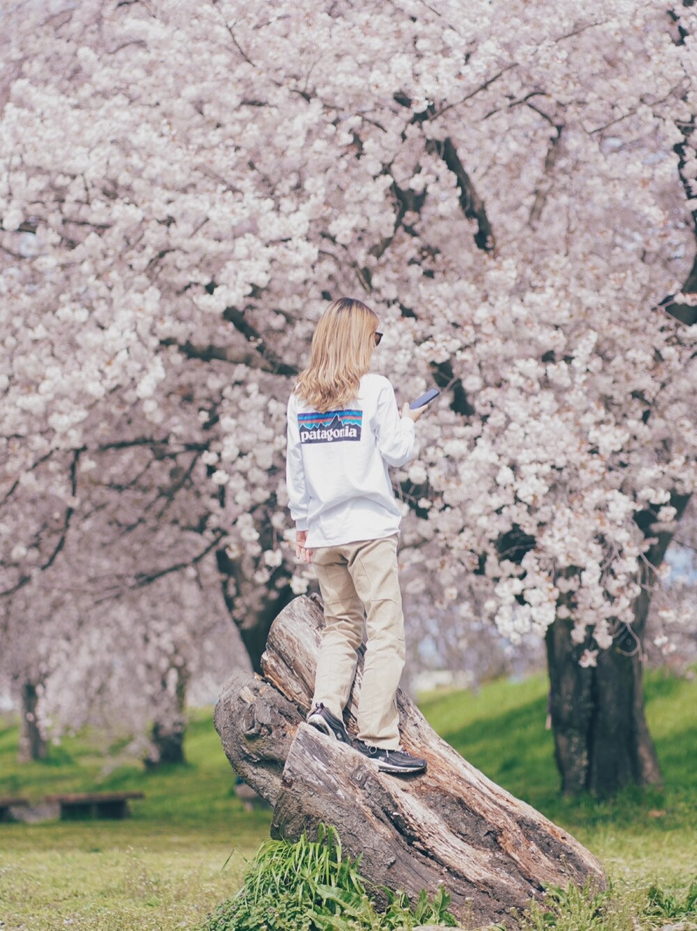 「パタゴニア、ロンT、シンプルコーデ、ナイキエアマックス、チノパン、桜、春服、Tシャツ」｜「patagoniaのパタゴニア / メンズ・ロングスリーブ・P-6ロゴ・レスポンシビリティー（Tシャツ/カットソー、ホワイト系）」を使った、katsuさん（レディース・162cm）の春コーディネートの1枚目の写真