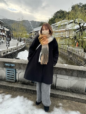 「Green　Parks（グリーンパークス）のアイテム（その他アウター）」を使った、a_pon18さん（レディース・162cm）の冬コーディネート