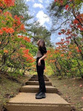 清少納言さんのコーディネート