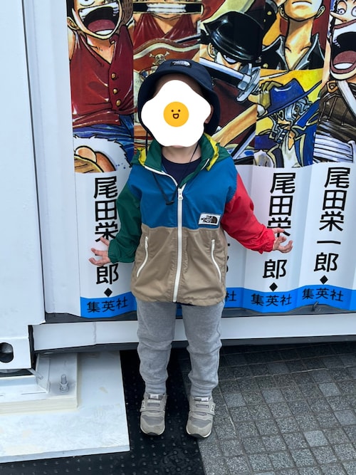 THE NORTH FACE（ザノースフェイス）の「ザ ノース フェイス THE