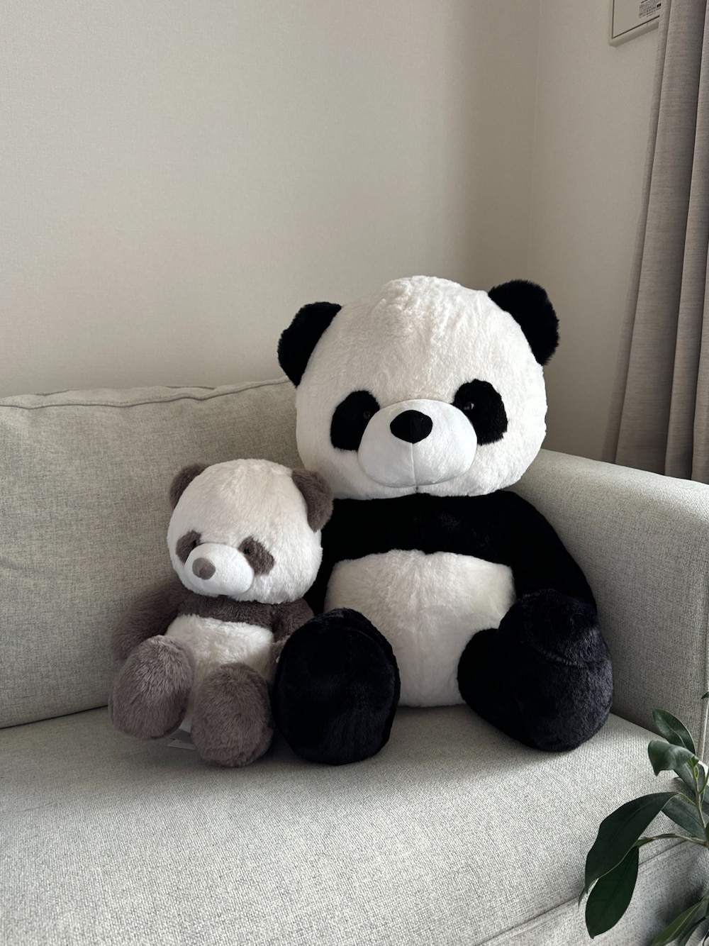 パンダ・ピクニック・パーティー☆PANDA PICNIC PARTY FX