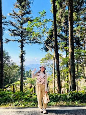 草さんのコーディネート